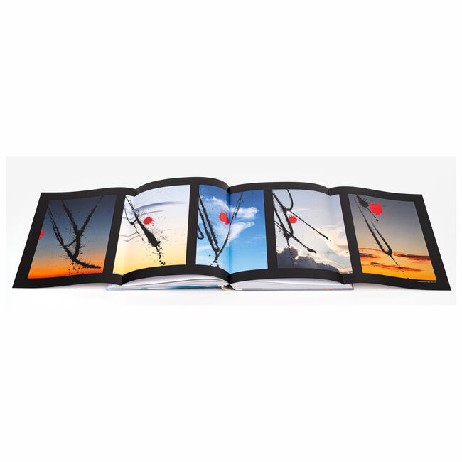 &quot;Still in Play: The paintings of Torben Ulrich&quot;, by Torben Ulrich, 