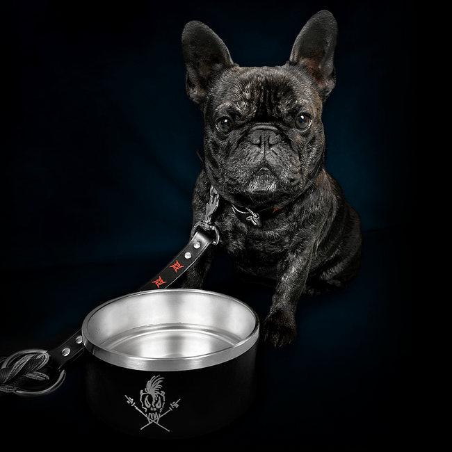 Scary Guy Dog Bowl, 