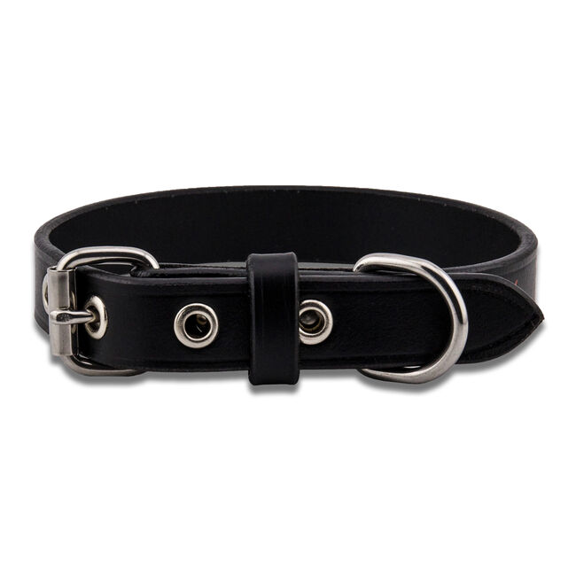 Ninja Star Leather Dog Collar, , hi-res