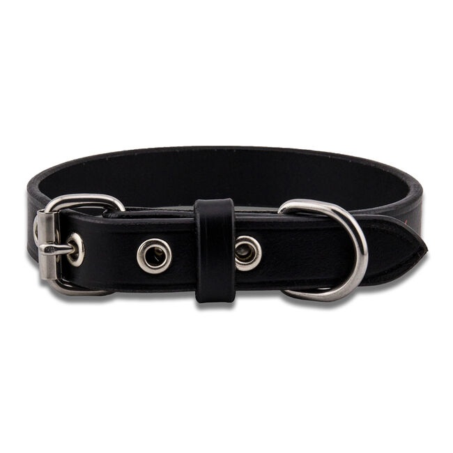 Ninja Star Leather Dog Collar, 