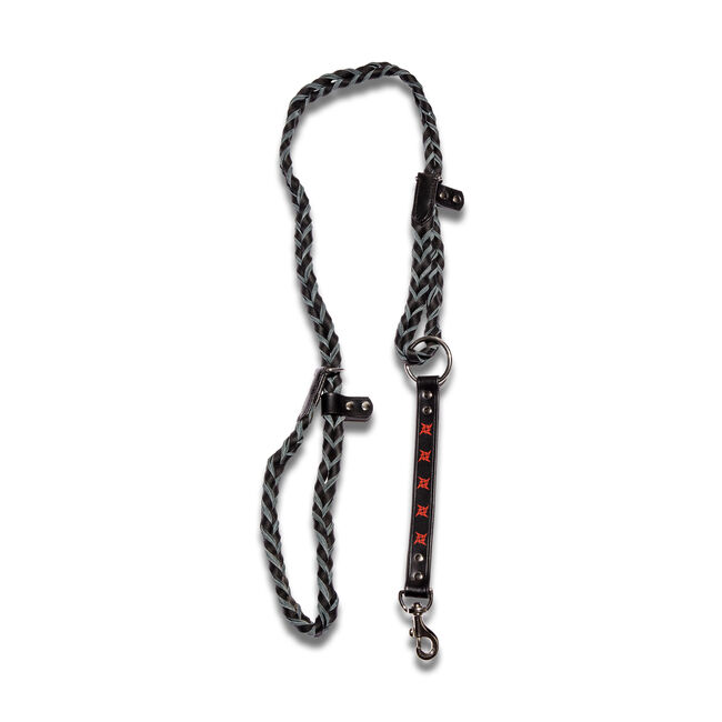 Ninja Star Dog Leash, 