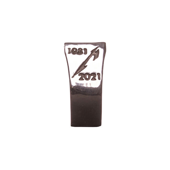 40th Anniversary Silver Ring - Size 9, 