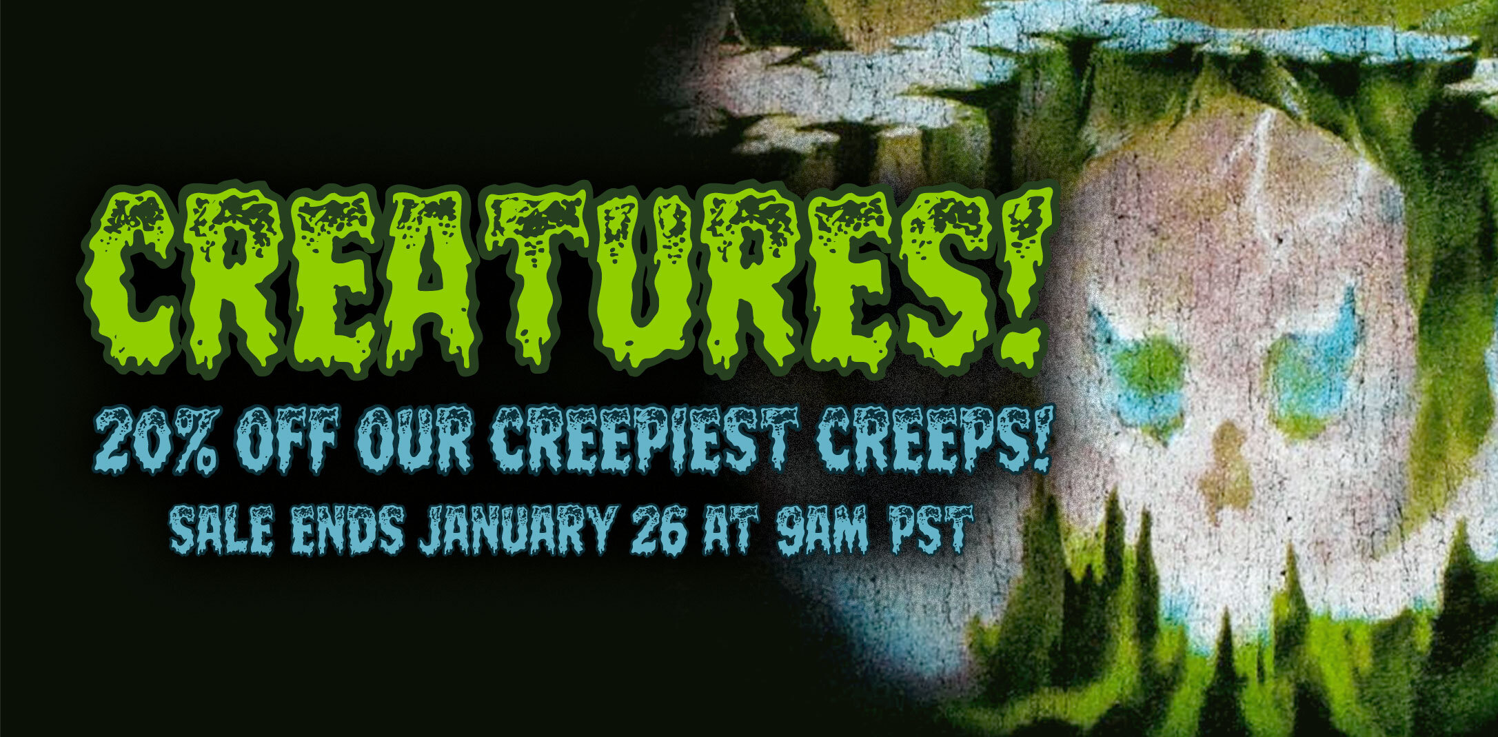 Category Banner Image